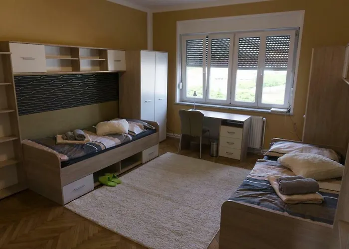 Trendy Apartmant In City