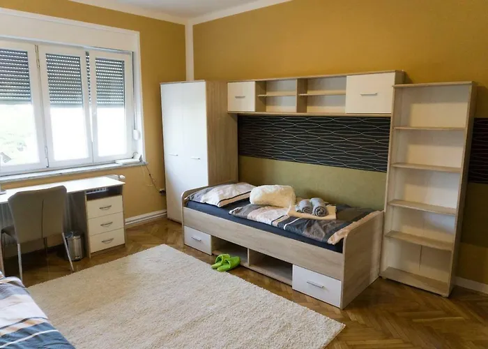 Trendy Apartmant In City